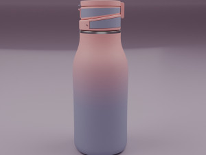Bottle 3D Model