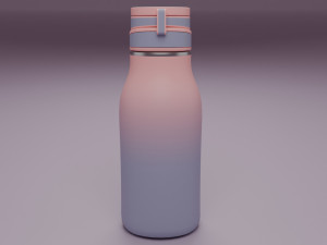 Bottle Modèle 3D