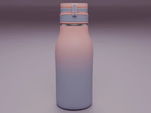 Bottle 3D Model