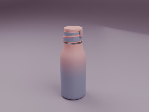 Bottle Modèle 3D