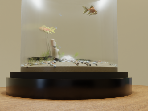 Fish Tank 3D-Modell