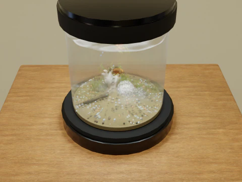 Aqu&aacute;rio Modelo 3D