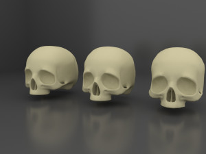 Skull 3 LODs 3D Model