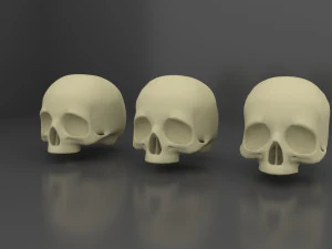 Cr&acirc;ne 3 LOD Modèle 3D