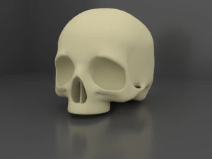 Skull 3 LODs 3D Model