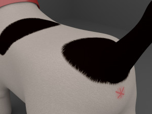 Dog Cartoon Rigged Modèle 3D