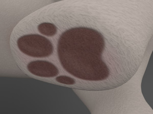 Dog Cartoon Rigged Modèle 3D