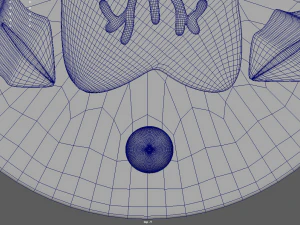 Cerchio Stella Biscotto Natale Modello 3D