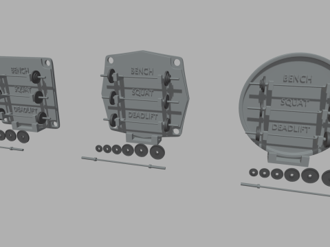 Gym Weights Personal Record Modello di stampa 3D