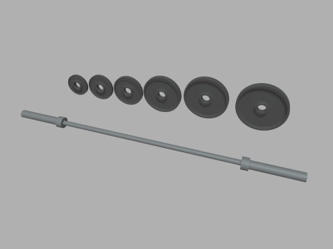 Gym Weights Personal Record Model Cetak 3D