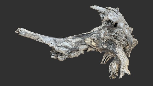 Tree Root 3D Scan 3D Model .c4d .max .obj .3ds .fbx .stl .blend 