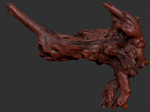 Tree Root 3D Scan 3D Model
