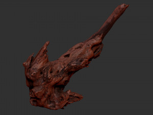 Tree Root 3D Scan 3D Model