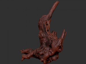 Tree Root 3D Scan 3D Model