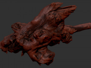 Tree Root 3D Scan 3D Model