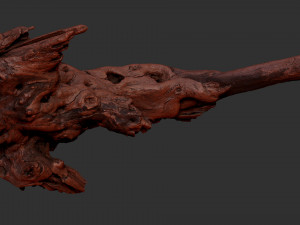 Tree Root 3D Scan 3D Model