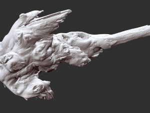 Tree Root 3D Scan 3D Model