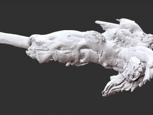 Tree Root 3D Scan 3D Model