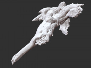 Tree Root 3D Scan 3D Model