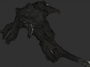 Tree Root 3D Scan 3D Model