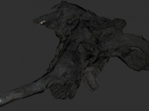 Tree Root 3D Scan 3D Model