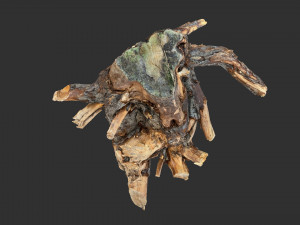 Tree Root 3D Scan Modelo 3D