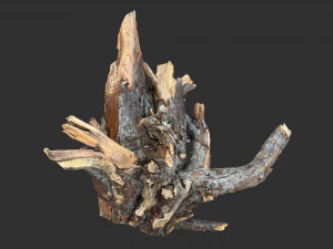 Tree Root 3D Scan 3D Model