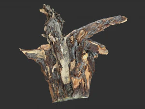 Tree Root 3D Scan 3D Model