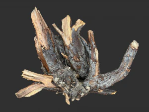 Tree Root 3D Scan 3D Model