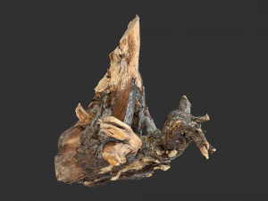 Tree Root 3D Scan 3D Model