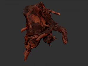 Tree Root 3D Scan 3D Model
