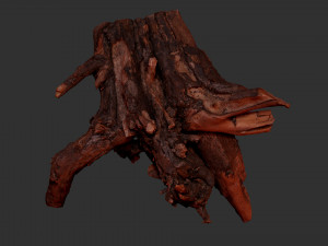 Tree Root 3D Scan Modelo 3D