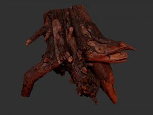 Tree Root 3D Scan 3D Model