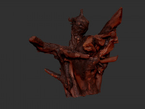 Tree Root 3D Scan Modelo 3D