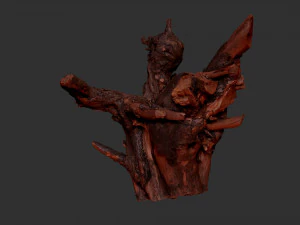 Tree Root 3D Scan 3D Model