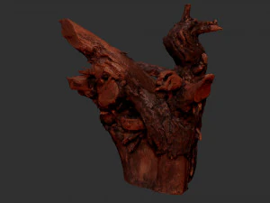 Tree Root 3D Scan 3D Model
