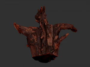 Tree Root 3D Scan 3D Model