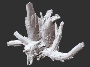 Tree Root 3D Scan 3D Model