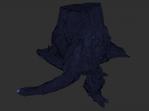 Tree Root 3D Scan Modelo 3D