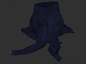 Tree Root 3D Scan 3D Model