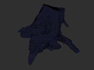 Tree Root 3D Scan Modelo 3D