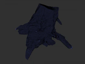 Tree Root 3D Scan 3D Model