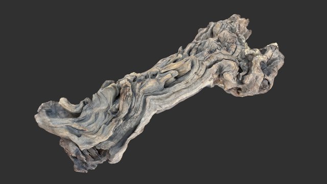 3D scan of the tree trunk Model 3D .c4d .max .obj .3ds .fbx .stl .blend 