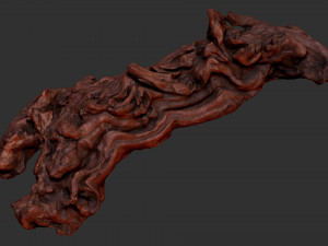 3D scan of the tree trunk Model 3D