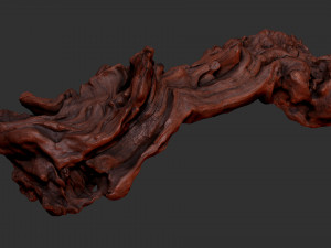 3D scan of the tree trunk Model 3D