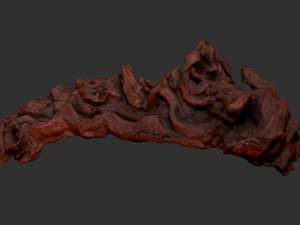 3D scan of the tree trunk Model 3D