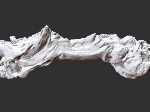 3D scan of the tree trunk Model 3D