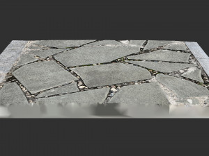 Walkway composed of flat floor tiles and stones 3d scan Modelo 3D