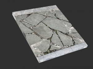 Walkway composed of flat floor tiles and stones 3d scan Modelo 3D