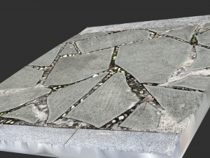Walkway composed of flat floor tiles and stones 3d scan Modelo 3D